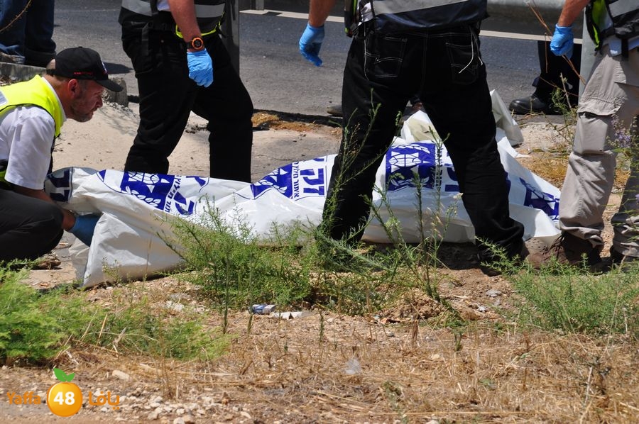 dead acc 50 years lud (35).JPG